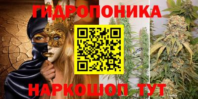прущие крисы Кунгур