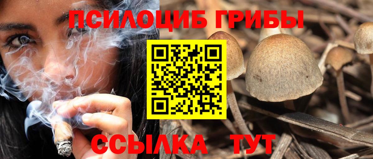 Псилоцибиновые грибы Psilocybine cubensis Донецк